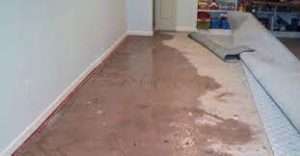Flood-Damage-Carpet-Drying